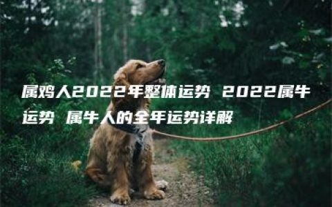 属鸡人2022年整体运势 2022属牛运势 属牛人的全年运势详解