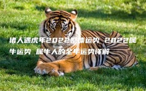 猪人遇虎年2022整体运势 2022属牛运势 属牛人的全年运势详解