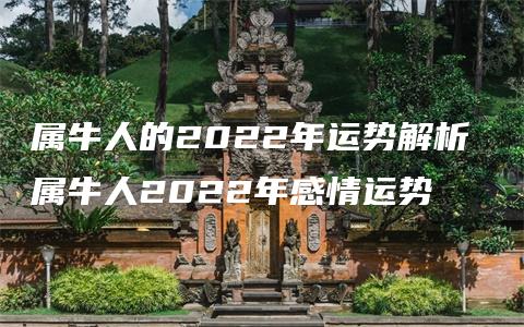 属牛人的2022年运势解析 属牛人2022年感情运势