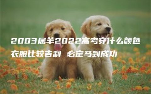 2003属羊2022高考穿什么颜色衣服比较吉利 必定马到成功