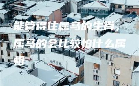 能管得住属马的生肖，属马的会比较怕什么属相