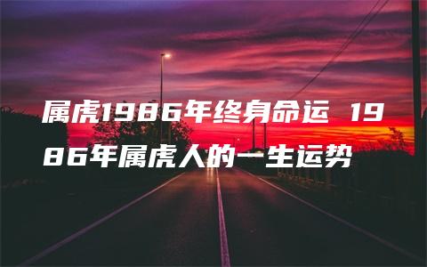 属虎1986年终身命运 1986年属虎人的一生运势