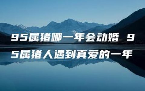 95属猪哪一年会动婚 95属猪人遇到真爱的一年