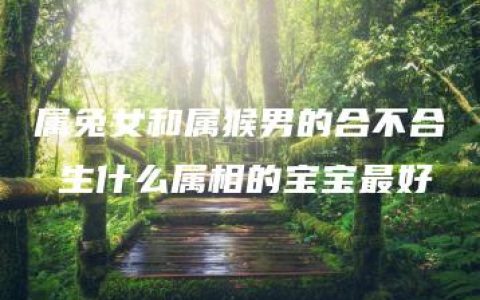 属兔女和属猴男的合不合 生什么属相的宝宝最好
