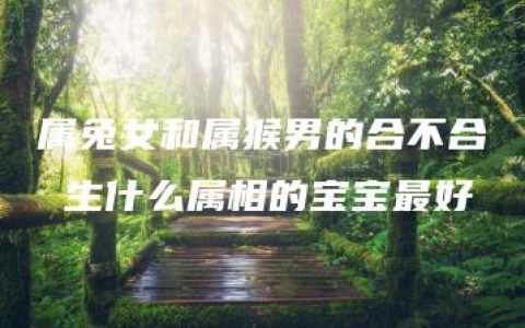 属兔女和属猴男的合不合 生什么属相的宝宝最好