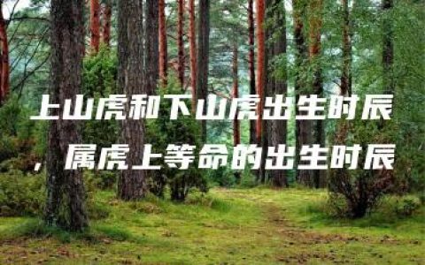 上山虎和下山虎出生时辰，属虎上等命的出生时辰