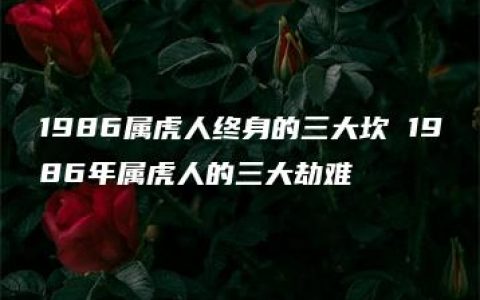 1986属虎人终身的三大坎 1986年属虎人的三大劫难