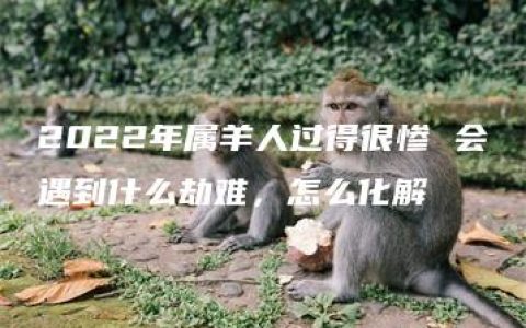 2022年属羊人过得很惨 会遇到什么劫难，怎么化解