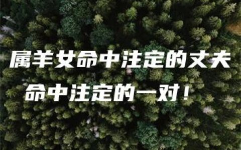 属羊女命中注定的丈夫 命中注定的一对！