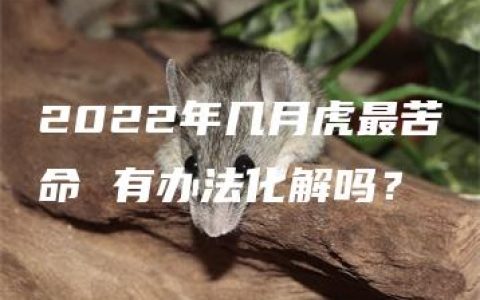 2022年几月虎最苦命 有办法化解吗？