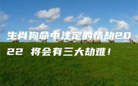 生肖狗命中注定的情劫2022 将会有三大劫难！