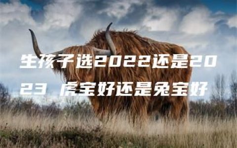 生孩子选2022还是2023 虎宝好还是兔宝好