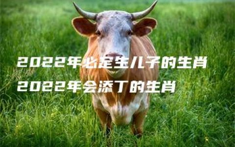 2022年必定生儿子的生肖 2022年会添丁的生肖