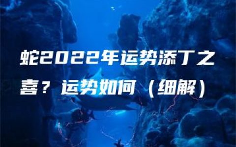 蛇2022年运势添丁之喜？运势如何（细解）