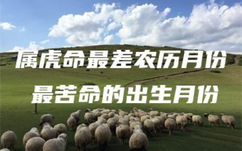 属虎命最差农历月份 最苦命的出生月份