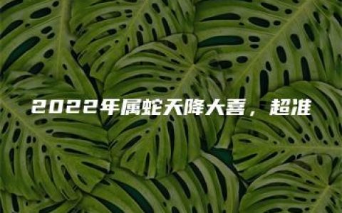 2022年属蛇天降大喜，超准