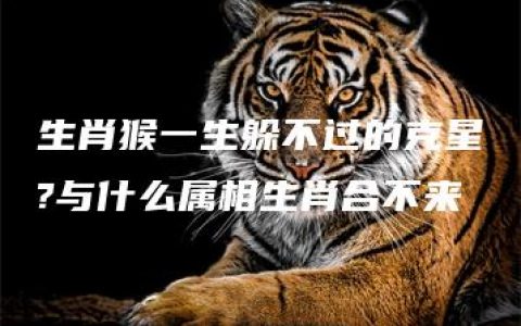 生肖猴一生躲不过的克星?与什么属相生肖合不来