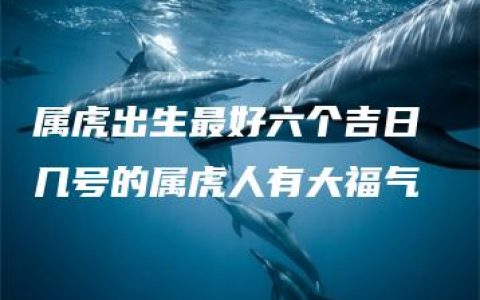 属虎出生最好六个吉日 几号的属虎人有大福气