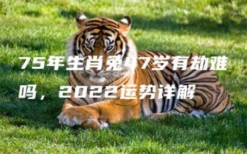 75年生肖兔47岁有劫难吗，2022运势详解