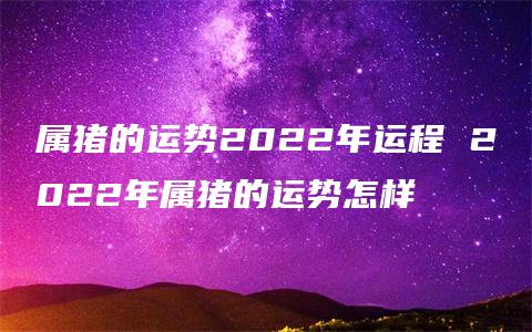 属猪的运势2022年运程 2022年属猪的运势怎样