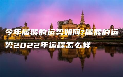 今年属猴的运势如何?属猴的运势2022年运程怎么样