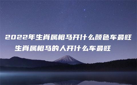 2022年生肖属相马开什么颜色车最旺  生肖属相马的人开什么车最旺