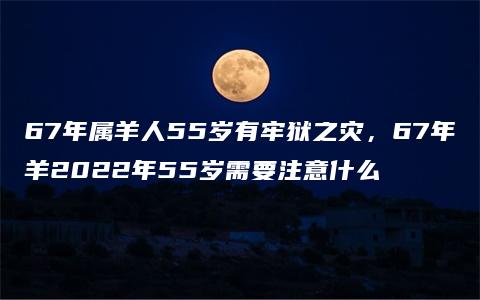 67年属羊人55岁有牢狱之灾，67年羊2022年55岁需要注意什么