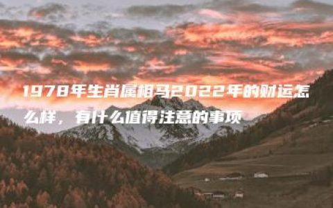 1978年生肖属相马2022年的财运怎么样，有什么值得注意的事项