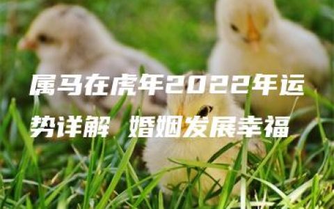 属马在虎年2022年运势详解 婚姻发展幸福