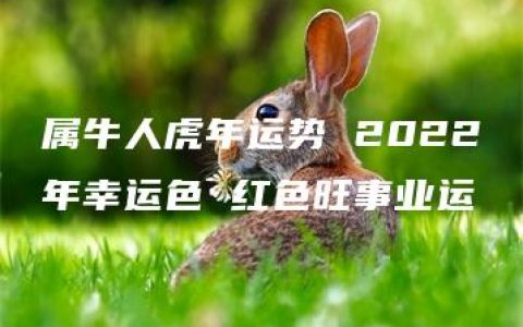 属牛人虎年运势 2022年幸运色 红色旺事业运