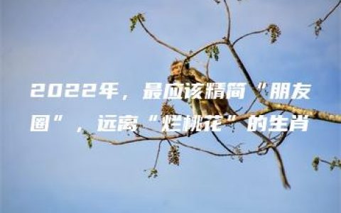 2022年，最应该精简“朋友圈”，远离“烂桃花”的生肖