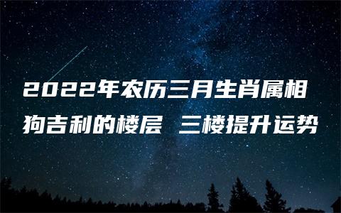 2022年农历三月生肖属相狗吉利的楼层 三楼提升运势