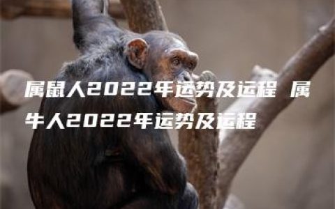 属鼠人2022年运势及运程 属牛人2022年运势及运程