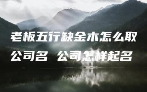 老板五行缺金木怎么取公司名 公司怎样起名