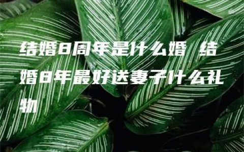 结婚8周年是什么婚 结婚8年最好送妻子什么礼物