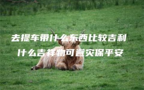 去提车带什么东西比较吉利  什么吉祥物可避灾保平安