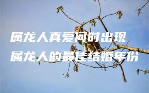 属龙人真爱何时出现 属龙人的最佳结婚年份