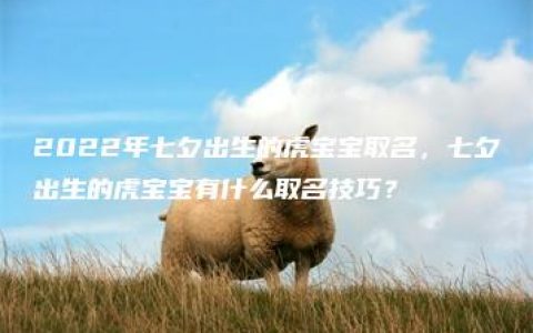 2022年七夕出生的虎宝宝取名，七夕出生的虎宝宝有什么取名技巧？