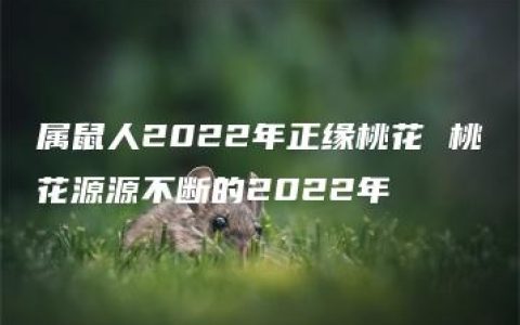 属鼠人2022年正缘桃花 桃花源源不断的2022年