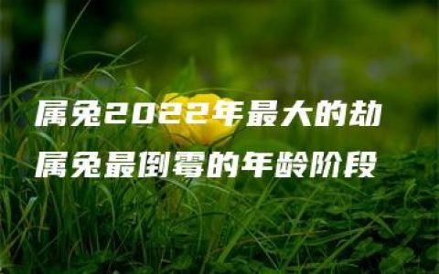 属兔2022年最大的劫 属兔最倒霉的年龄阶段