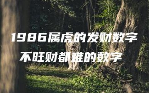 1986属虎的发财数字 不旺财都难的数字