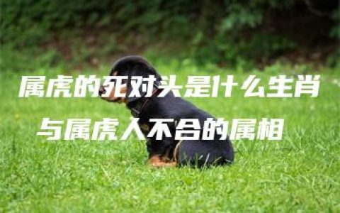 属虎的死对头是什么生肖 与属虎人不合的属相