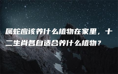 属蛇应该养什么植物在家里，十二生肖各自适合养什么植物？