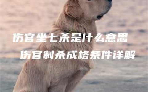 伤官坐七杀是什么意思  伤官制杀成格条件详解