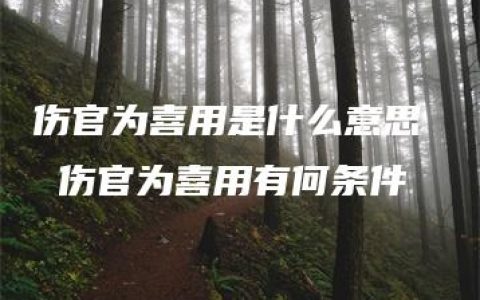 伤官为喜用是什么意思  伤官为喜用有何条件