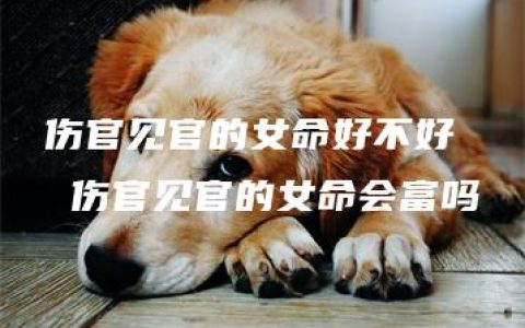 伤官见官的女命好不好  伤官见官的女命会富吗