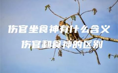 伤官坐食神有什么含义  伤官和食神的区别