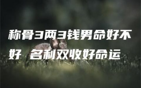 称骨3两3钱男命好不好 名利双收好命运