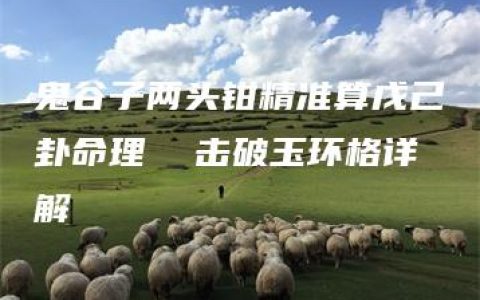 鬼谷子两头钳精准算戊己卦命理  击破玉环格详解