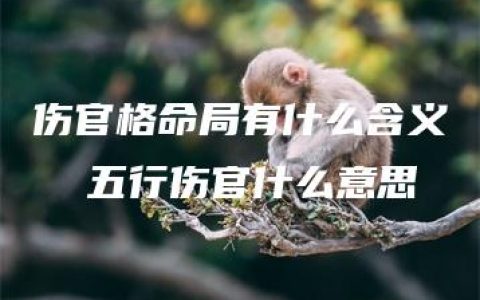 伤官格命局有什么含义  五行伤官什么意思